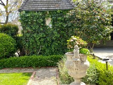 Enlarge photo 78
