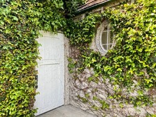 Enlarge photo 95