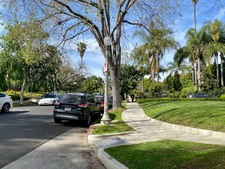 Enlarge photo 169