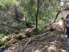 Enlarge photo 89