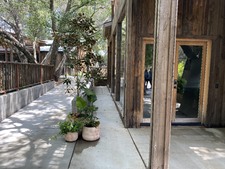 Enlarge photo 80