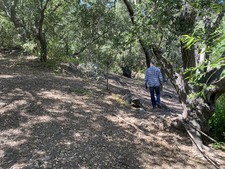 Enlarge photo 17