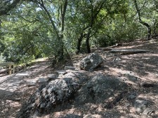 Enlarge photo 18
