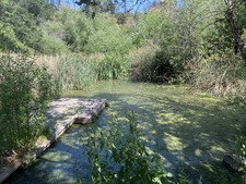 Enlarge photo 19