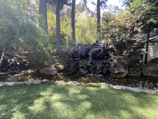 Enlarge photo 37