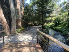 Enlarge photo 47