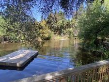 Enlarge photo 49