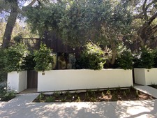 Enlarge photo 51