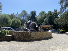 Enlarge photo 73