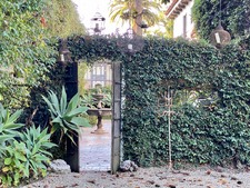 Enlarge photo 45