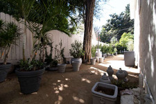 Enlarge photo 95