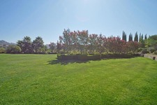 Enlarge photo 116