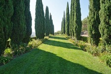 Enlarge photo 126
