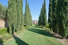 Enlarge photo 128