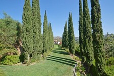 Enlarge photo 129
