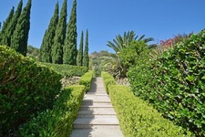 Enlarge photo 135