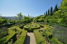 Enlarge photo 139