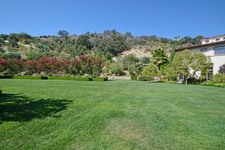 Enlarge photo 184