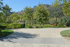 Enlarge photo 199
