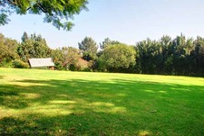Enlarge photo 67