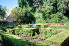 Enlarge photo 73
