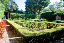 Enlarge photo 74