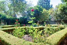 Enlarge photo 75