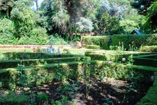Enlarge photo 76