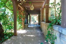 Enlarge photo 78
