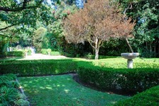 Enlarge photo 84