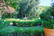 Enlarge photo 85