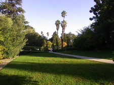 Enlarge photo 72