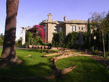 Enlarge photo 73