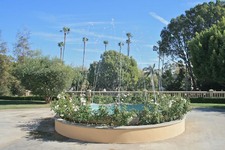 Enlarge photo 141
