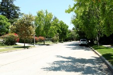 Enlarge photo 37