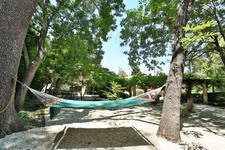 Enlarge photo 53