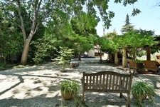 Enlarge photo 54