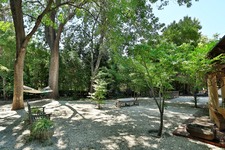 Enlarge photo 55