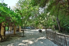 Enlarge photo 81