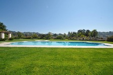 Enlarge photo 120