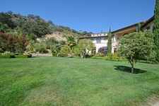 Enlarge photo 146