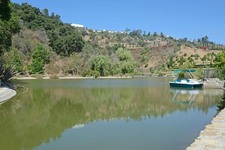 Enlarge photo 151