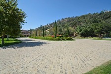 Enlarge photo 76