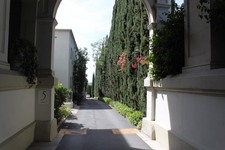 Enlarge photo 38