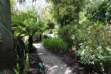 Enlarge photo 59