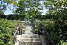 Enlarge photo 62