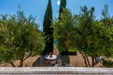 Enlarge photo 35
