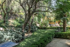 Enlarge photo 57