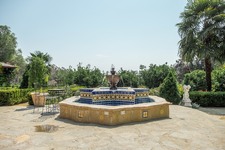Enlarge photo 62