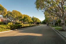 Enlarge photo 115
